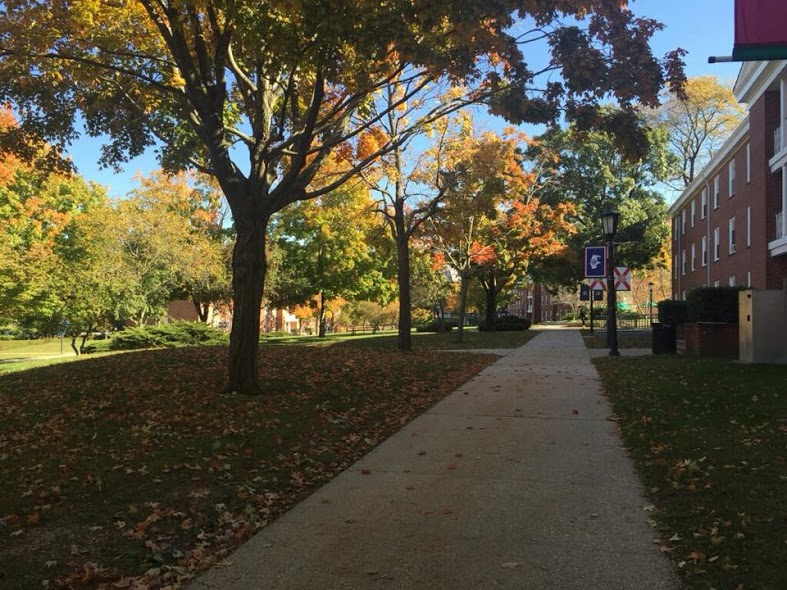The leaves are falling outside of the Residents Halls. Photo: Khadijah Swann